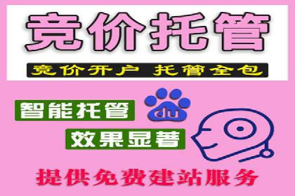 谷歌竞价广告在旅游行业的成功营销案例